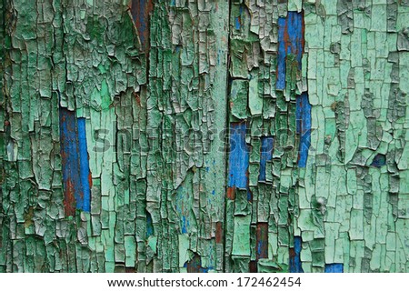 Wooden Palisade background. Close up of wooden fence panels.Old wooden fence. wood texture background. wood fence background.Old cracked paint pattern.Peeling paint. Damaged paint on the surface.