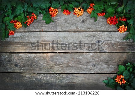 Decoration autumn frame. Berries on wooden background. Greeting card design