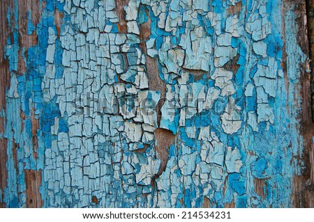 Cracked paint on a wooden wall. Wall from wooden plank with paint traces. old painted wood wall texture, grunge background, cracked paint. Blue and white paint on wood