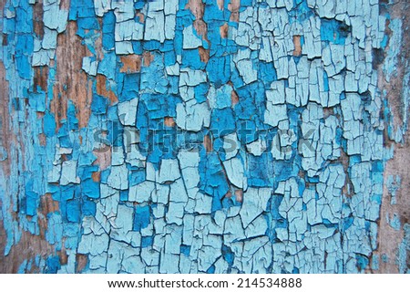 Cracked paint on a wooden wall. Wall from wooden planks with paint traces. old painted wood wall texture, grunge background, cracked paint. Blue and white paint on wood