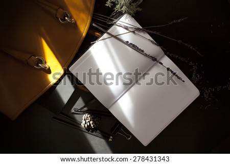 the contents of the bag with dramatic light