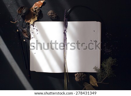 composition notebook, and dried plants with morning light