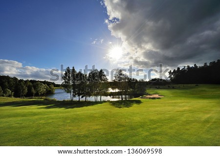 Perfect Green grass on a golf field Zdjęcia stock © 