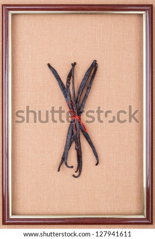 Portrait of vanilla beans. Madagascar vanilla beans in the center of the frame on a linen background, tied with red twine.