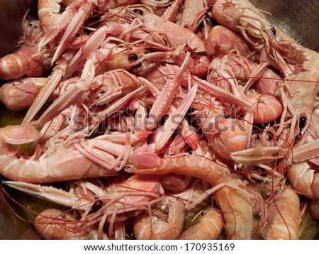 Fresh Mediterranean Prawn cooked on the simple way with olive oil, rosemary, garlic and white vine.../Prawn stue