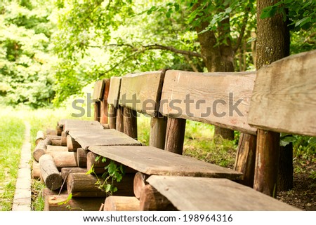 benches of wooden trunk on forest