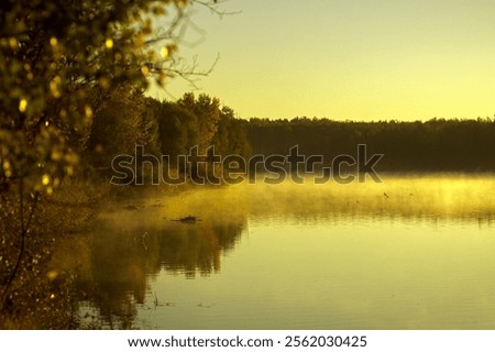 Similar – Image, Stock Photo light Idyll River bank