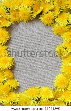 Frame made from dandelion flowers lying on canvas background. Object with clipping path