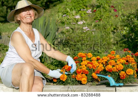 Old woman work in garden/Grandma in the garden/Grandma in the garden/