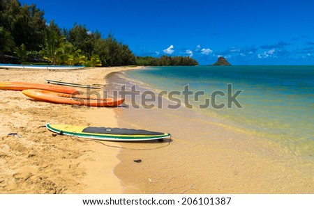 Surfboards and Kayaks on the shore of a beautiful tropical beach