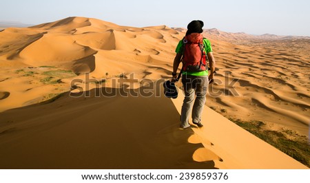 Back view of a guide on the top of a dune in the middle of the sahara desert in Morocco. One person, landscape