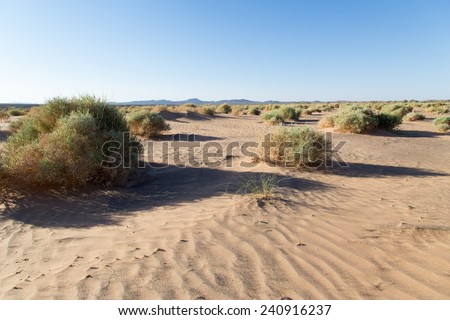 Flat desert with some grass. Landscape, nobody