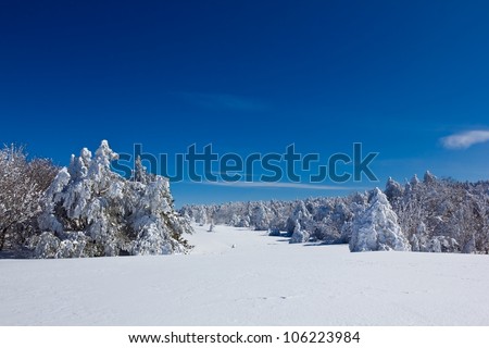 winter plain landscape