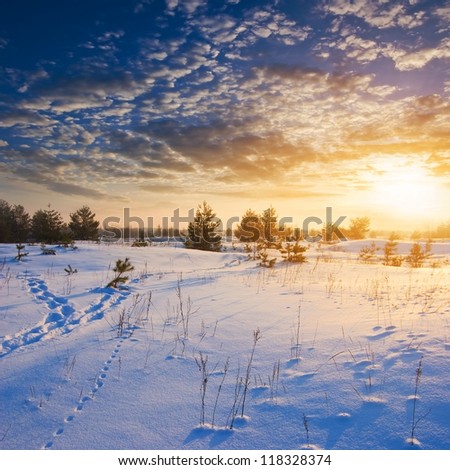 evening winter plain