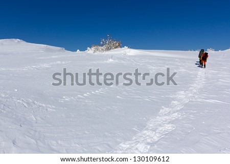 hikers in a winter plain