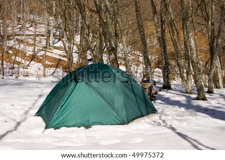 touristic tent in a spring forest