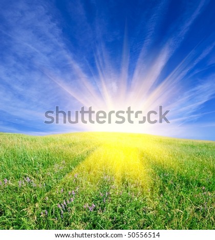 sparkle sun above a green field