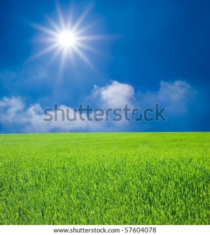green field and sparkle sun
