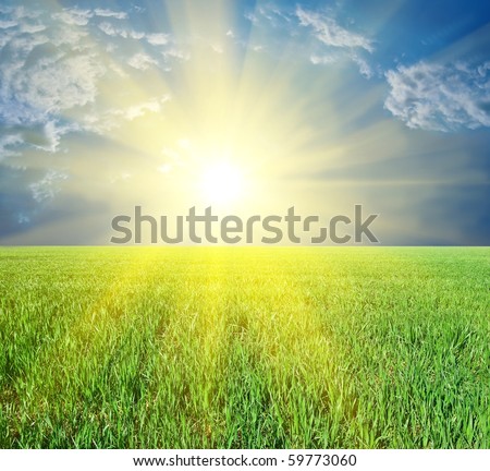 majestic sun rising among a green fields