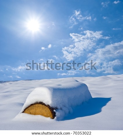 snowbound pine log  and a sparkle sun