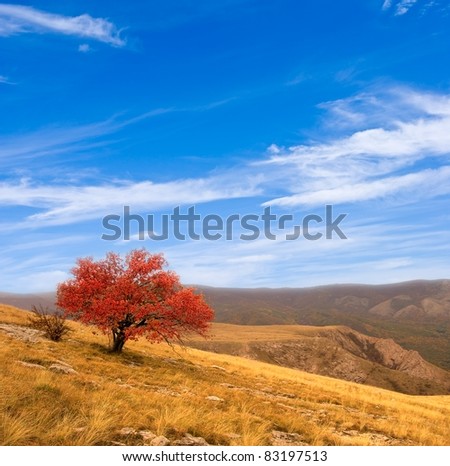red autumn tree on a mountain slope
