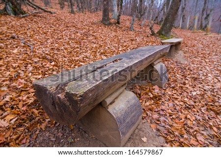 wooden bench in a autumn forest