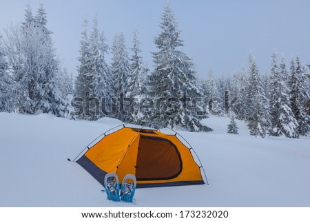 orange touristic tent in a winter forest