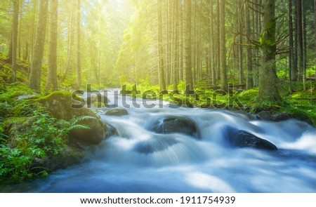 Similar – Foto Bild Bach in einem Wald Natur