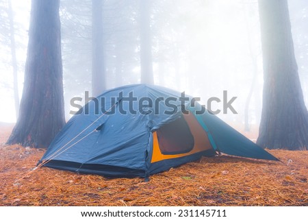 touristic tent in a misty forest