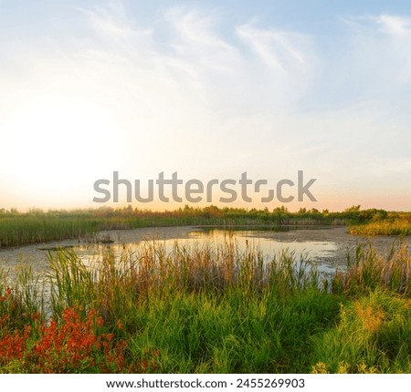 Similar – Image, Stock Photo Small river in the Winter