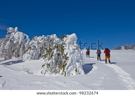 hikers in a winter plain