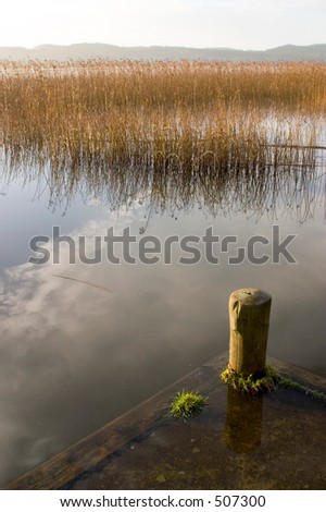 Lake with calm water and mirror effect on a sunny day