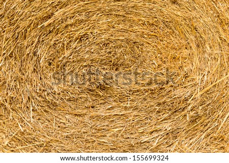 Rice straw background, in Thailand