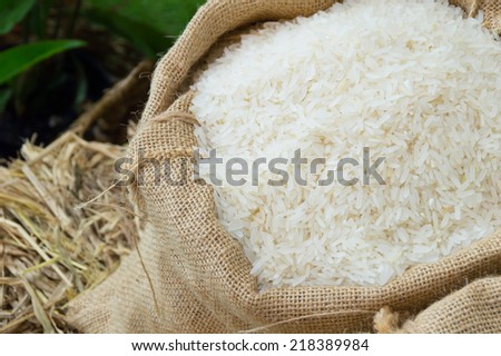 rice in sack on rice tube background in local market