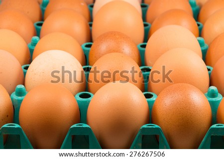 brown chicken eggs in plastic tray