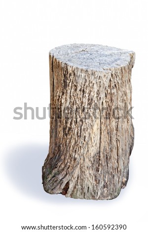 Garden furniture made from stump wooden log isolated on white background