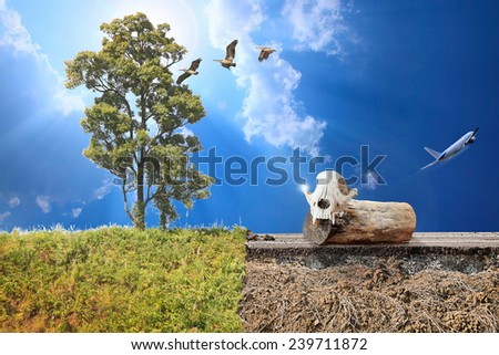 Climate Change Concept Image. Man-made road exceptionally wild animal, cut down trees and then fly away, dead tree stump as a symbol of a soul leaving and a birth of new life after death with hope.