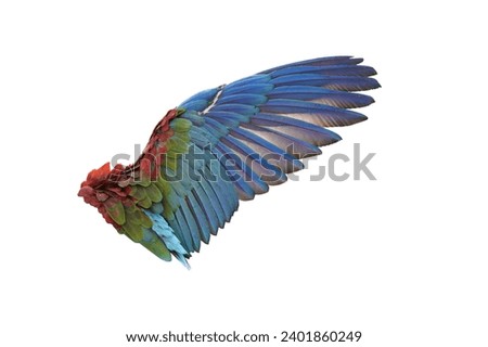 Similar – Image, Stock Photo Macaws parrot two Bird