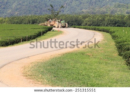 Tea plantations in the mountains with abundant good quality green tea and income for farmers. A-Lane Blacktop road and agricultural machinery.  on horizon