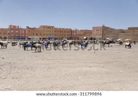 Errachidia, Morocco, CIRCA MAY 2013: Desert city in Africa, Morocco. Donkeys are here commonly animals