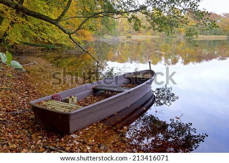 Autumn in the woods at a small lake. Was seen in Brandenburg. North of Brandenburg. This forest is the UNESCO World Heritage.