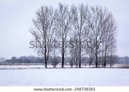 Lonely and sulky weather landscape in winter, with trees. Was seen near the little town Nauen, Brandenburg, Germany.