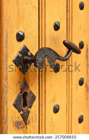 Vintage door handle on the orange wooden door. Selective focus.