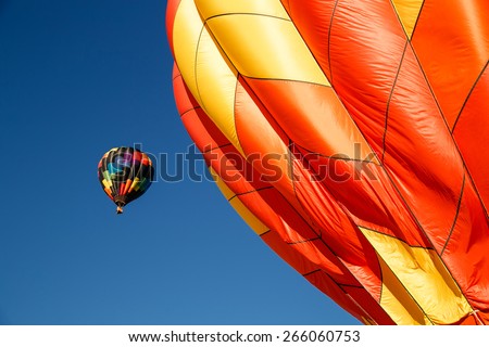 Hot air balloons in the clear blues sky