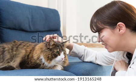 Similar – Image, Stock Photo calico white maine coon cat portrait with copy space