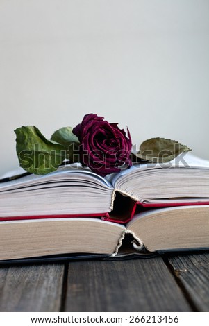 Dried red rose laying over an open book