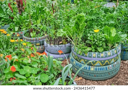 Similar – Foto Bild Urban Gardening