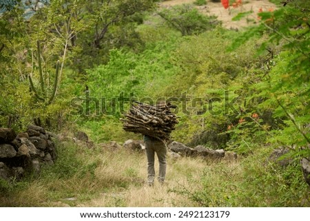 Similar – Image, Stock Photo Unrecognizable man on stone near lighthouse