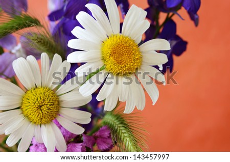 Colorful bouquet of flowers on orange background