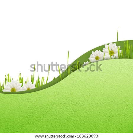 Grass and daisies on white and green background